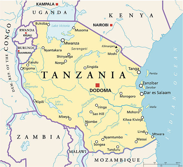 Tanzania Political Map Political map of Tanzania with capital Dodoma, national borders, most important cities, rivers and lakes. Vector illustration with English labeling and scaling. tanzania stock illustrations