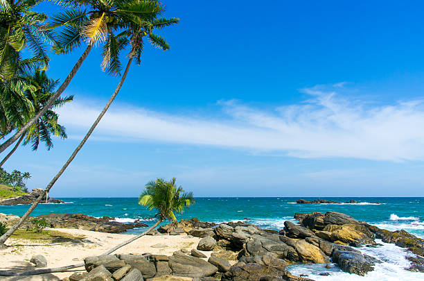 istock Tropical beach in Sri Lanka 498614962