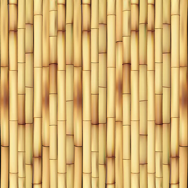 illustrazioni stock, clip art, cartoni animati e icone di tendenza di il bambù - bamboo asia backgrounds textured