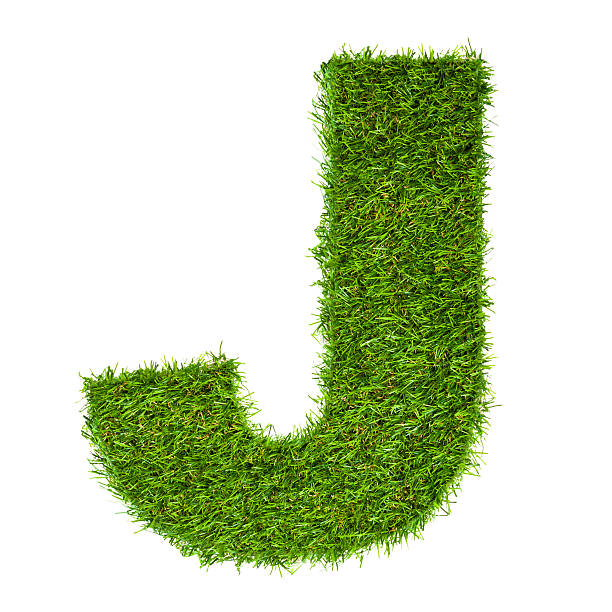 istock Letter J made of green grass isolated on white 498615541