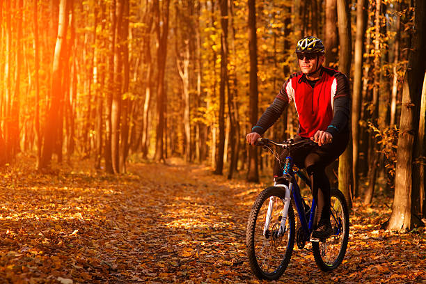 istock Man with bicycle riding country road 498615600