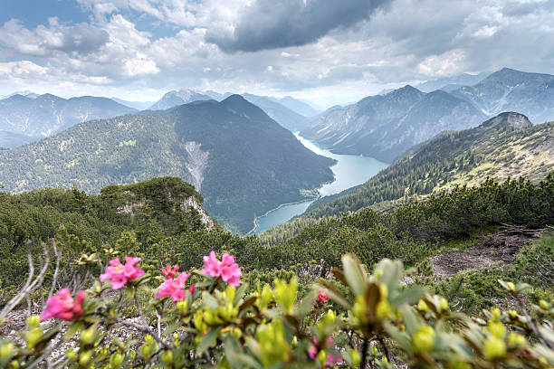 vista do topo do monte de hohe - hahnenkamm imagens e fotografias de stock