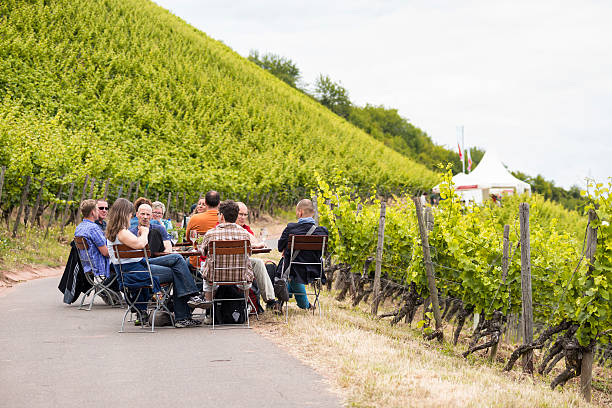 Nierstein , Red Slope, Germany Nierstein, Germany - June 14, 2014: Wein vom Roten Hang e.V." presentation at the Roter Hang vineyard . The association consists of 31 winemakers promote at a public location the famous Riesling wines of Nierstein wine area "Roter Hang" . The people are tasting wine, watching and walking from pavilion to pavilion at the red hillside. nierstein stock pictures, royalty-free photos & images