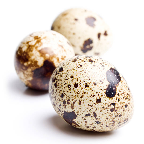 istock quail eggs isolated on white background close up 498627817