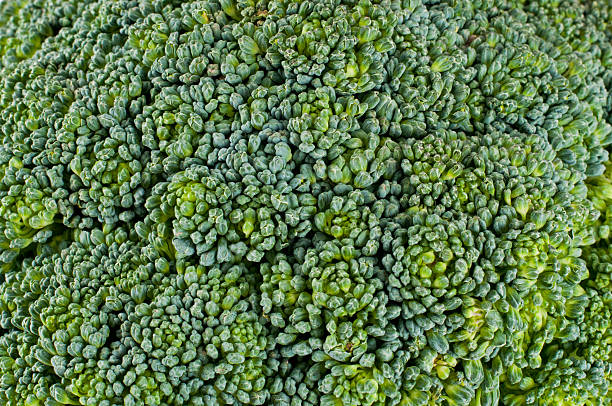 Broccoli pattern detail stock photo
