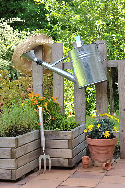 istock gardening in terrace 498629063