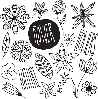 Flowers-Vector illustration