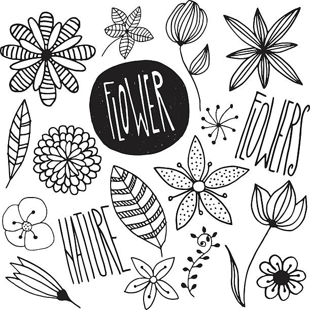 Flowers Flowers-Vector illustration single flower flower black blossom stock illustrations
