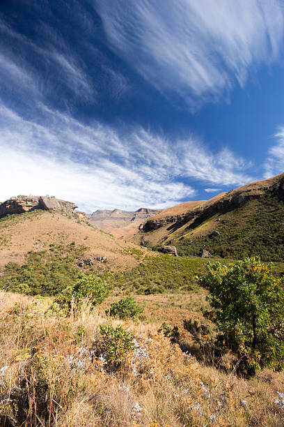 castelo de gigante de kwazulu-natal, áfrica do sul - sugarbush imagens e fotografias de stock