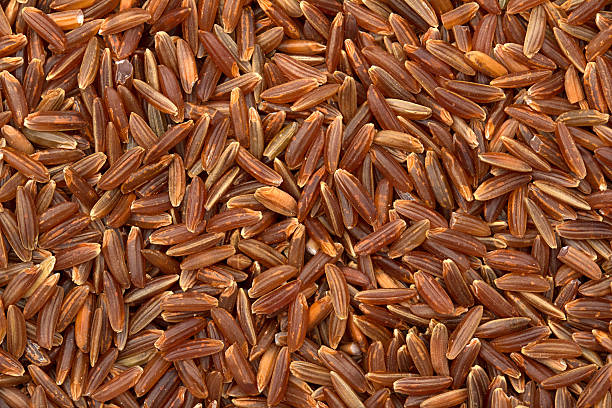 red reis - camargue red rice stock-fotos und bilder