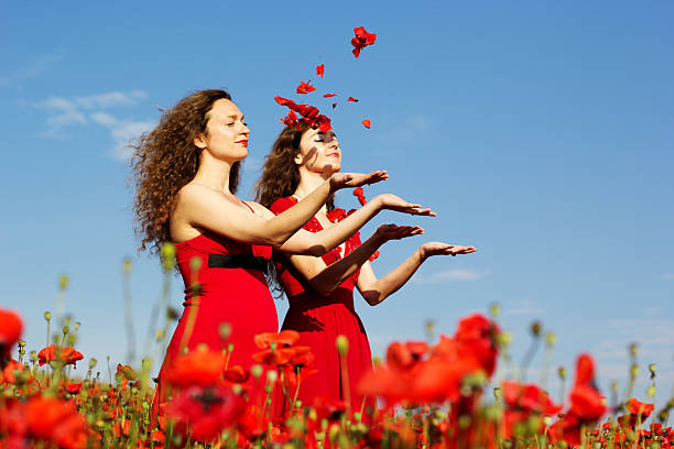 istock Two young women playing in poppies field 498633251