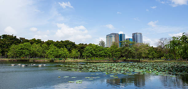 istock bangkok city in park, Thailand. 498646093