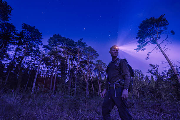 Night Hiker stock photo