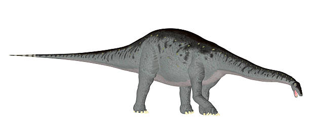 Tyrannosaurus rex