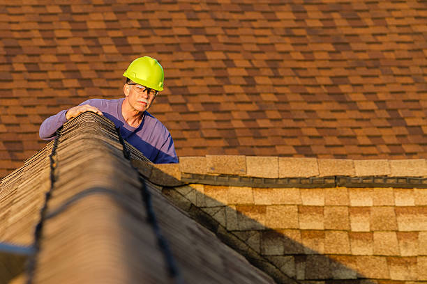 Home inspector examines architectural, asphalt shingled roof. An inspector looks over a residential roof at the peak. inspector stock pictures, royalty-free photos & images