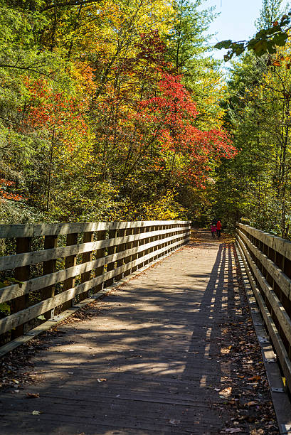 istock Bridge on the Virginia Creeper Trail 498650048