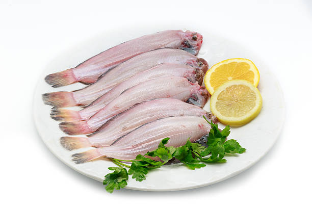 suola pesce crudo fresco su sfondo bianco - lenght foto e immagini stock