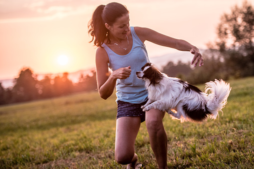 Young woman playing with dog in garden at sunset.
