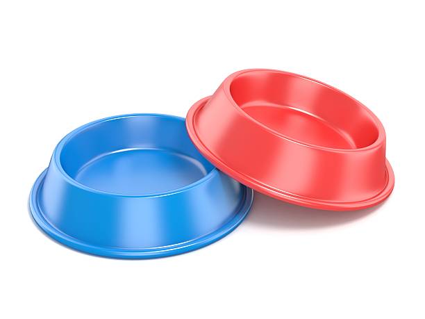 istock Blue and red pet bowl for food. 3D rendering 498655936