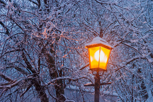 istock Street lamp on background of branches under snow 498656644