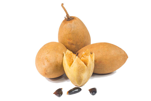 istock fresh sapodilla fruits 498658984
