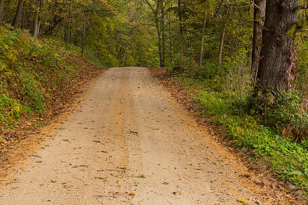 istock Autumn Road In Woods 498660292