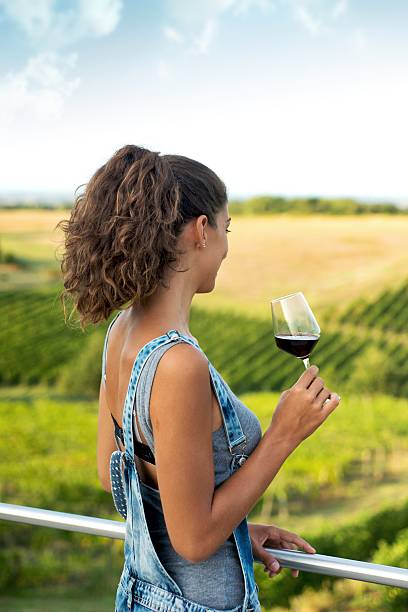 istock Woman looking Vineyards 498660390