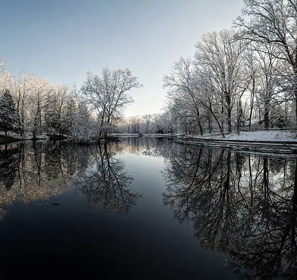 Beautiful trees with snow clinging to the branches against a bright blue sky reflecting into a calm lake.