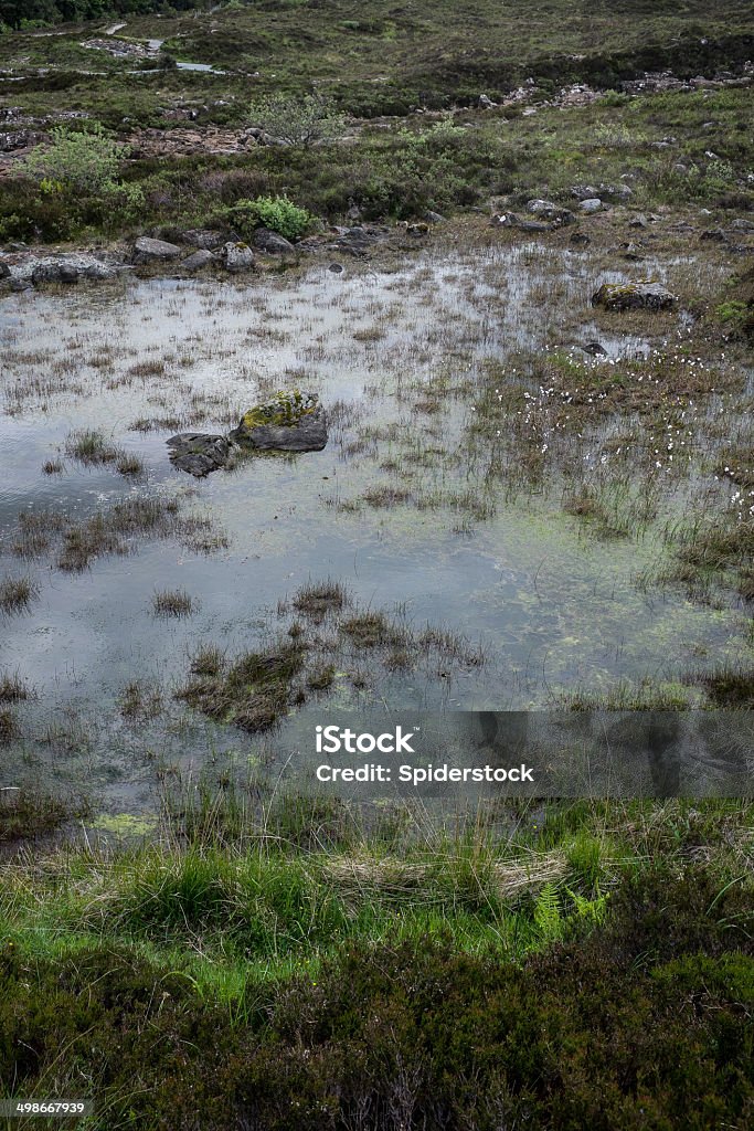 Wasser und Gras Hintergrund - Lizenzfrei Abstrakt Stock-Foto