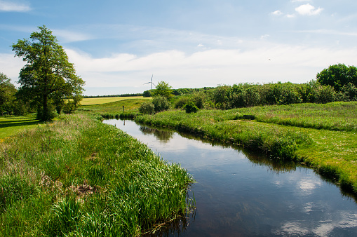 View of the river flowing through the field