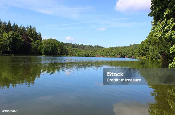 Image Of Fishing Lake In Sunshine Woodland Trees Reflections Sky Stock Photo - Download Image Now