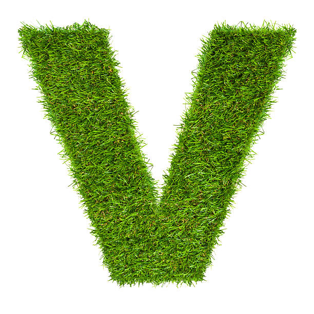 istock Letter V made of green grass isolated on white 498670107