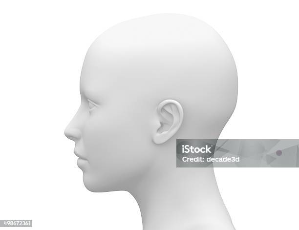 Female Head Muscles Anatomy Side View Stock Photo - Download Image Now - Mannequin, White Color, Human Head