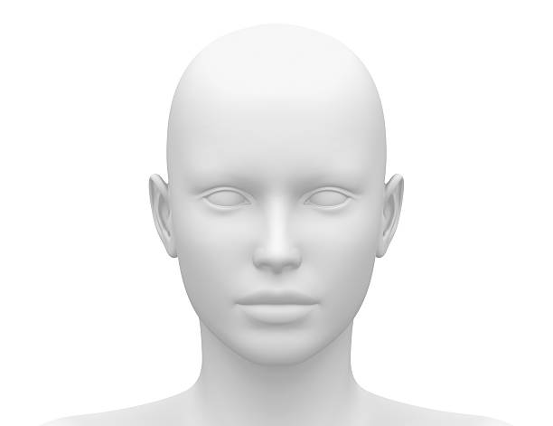 istock Female Head Muscles Anatomy - Front view 498672367