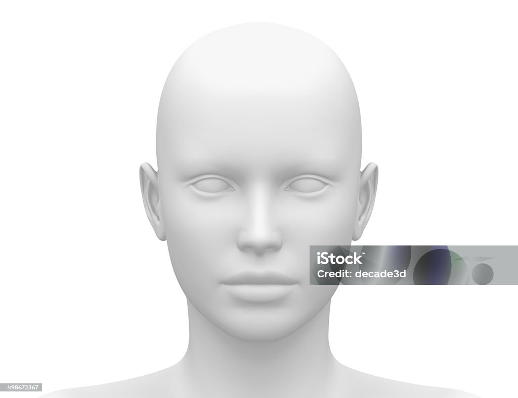 Female Head Muscles Anatomy - Front view Mannequin Stock Photo