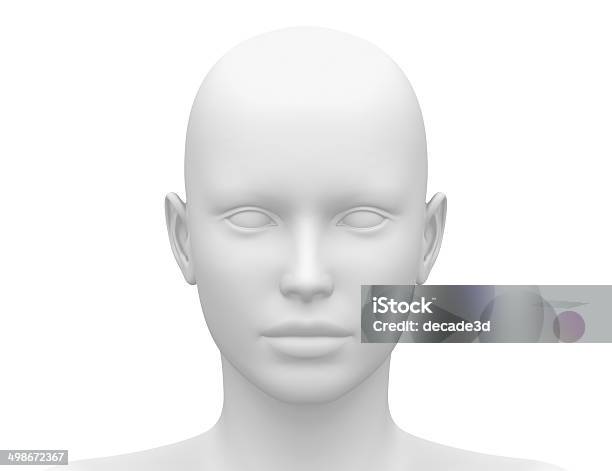 Female Head Muscles Anatomy Front View Stock Photo - Download Image Now - Mannequin, Human Face, Anatomy