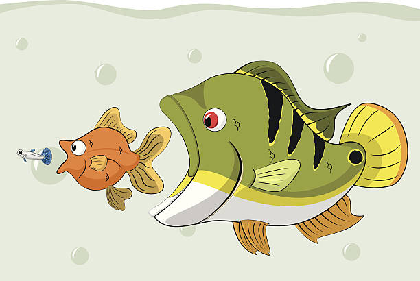 Fish Food Chain Illustrations, Royalty-Free Vector Graphics & Clip Art - iStock Fish Food Chain Illustrations, Royalty-Free Vector Graphics & Clip Art - iStock