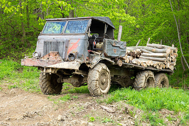 istock Truck loaded with logs 498682939