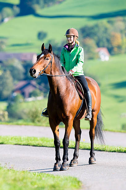 istock Woman riding a horse 498682959