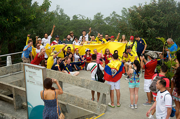 fan godersi la coppa del mondo fifa 2014 - fifa world cup foto e immagini stock