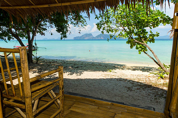 istock Beach view from the porch 498685096