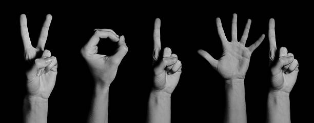 istock Hands in shape of 2016 498685394