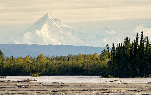 istock Delta River Overcast Skies Alaska Mountain Range Last Frontier 498686452