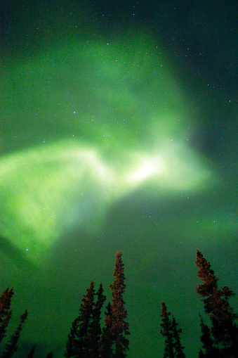 The Northern Lights appear in Wrangell St. Elias National Park