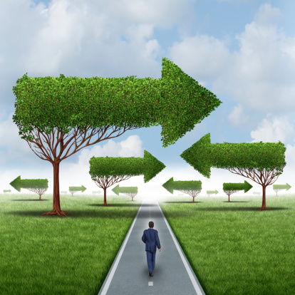 Financial success direction as a businessman walking around a group of confusing arrow trees on a straight focused path and journey to opportunity as a business metaphor for leadership solution challenges.