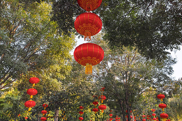 Red lanterns hang on the trees