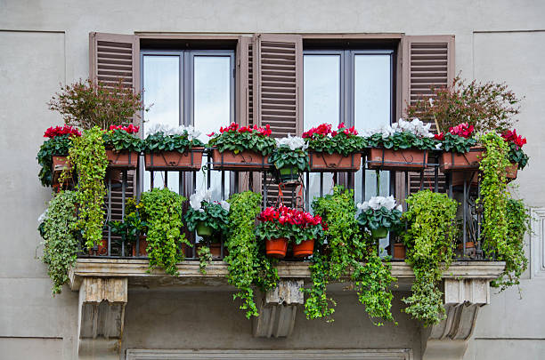 A beautiful balcony is decorated with baskets of begonias, cyclamen and ivies overlooks historic Piazza Navona, Rome, Italy. The Piazza was regularly flooded between 1652 and 1866 on the weekends in August for games, including Roman Naval games.  Today it is a constantly moving town square, with street performers, Christmas markets and sidewalk cafes.