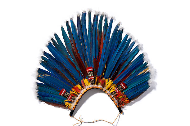 coiffe amérindienne typique - feather headdress photos et images de collection