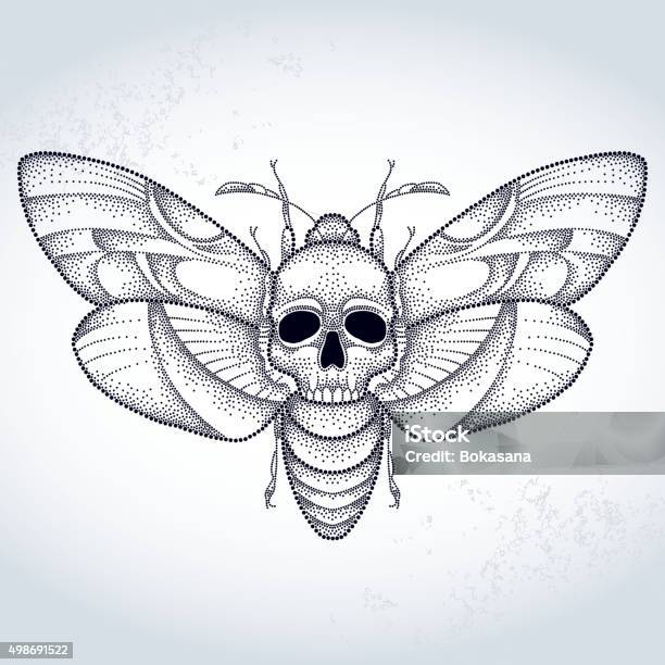 Dotted Deaths Head Hawk Moth Or Acherontia Atropos Stock Illustration - Download Image Now