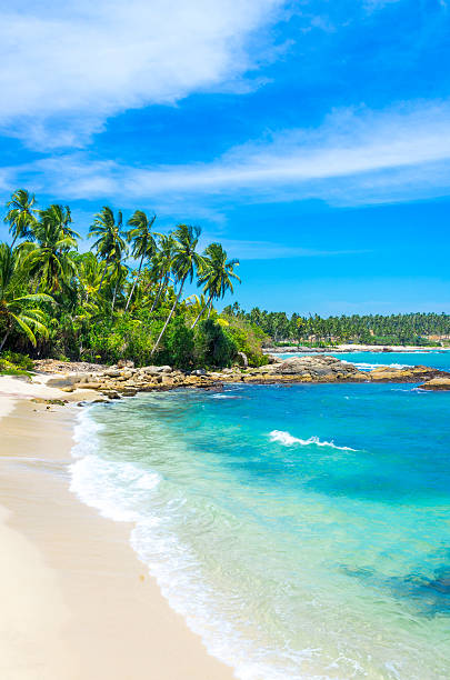 istock Tropical beach in Sri Lanka 498692574